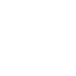 Icon Smartphone
